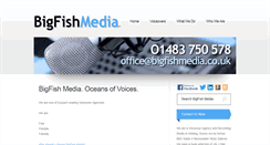 Desktop Screenshot of bigfishmedia.co.uk
