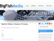 Tablet Screenshot of bigfishmedia.co.uk